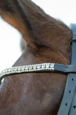 Horze Laelia Kandarenzaum -Weatherbeeta Shop 10001 BL 03