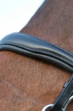 Horze Laelia Kandarenzaum -Weatherbeeta Shop 10001 BL 04