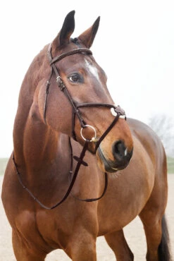 Horze Prescott Mexikanische Trense -Weatherbeeta Shop 10012 BR 03