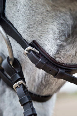 Horze Weston Trense -Weatherbeeta Shop 10017 BR 04