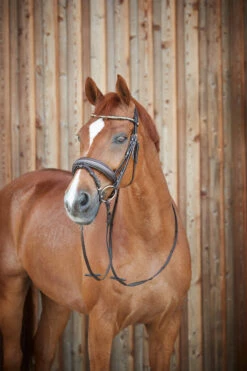 Horze Lester Trense -Weatherbeeta Shop 10019 BR 4