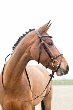 Horze Constance Weich Unterlegte Trense 11 Horze Constance Weich Unterlegte Trense -Weatherbeeta Shop 10040 LBR 02