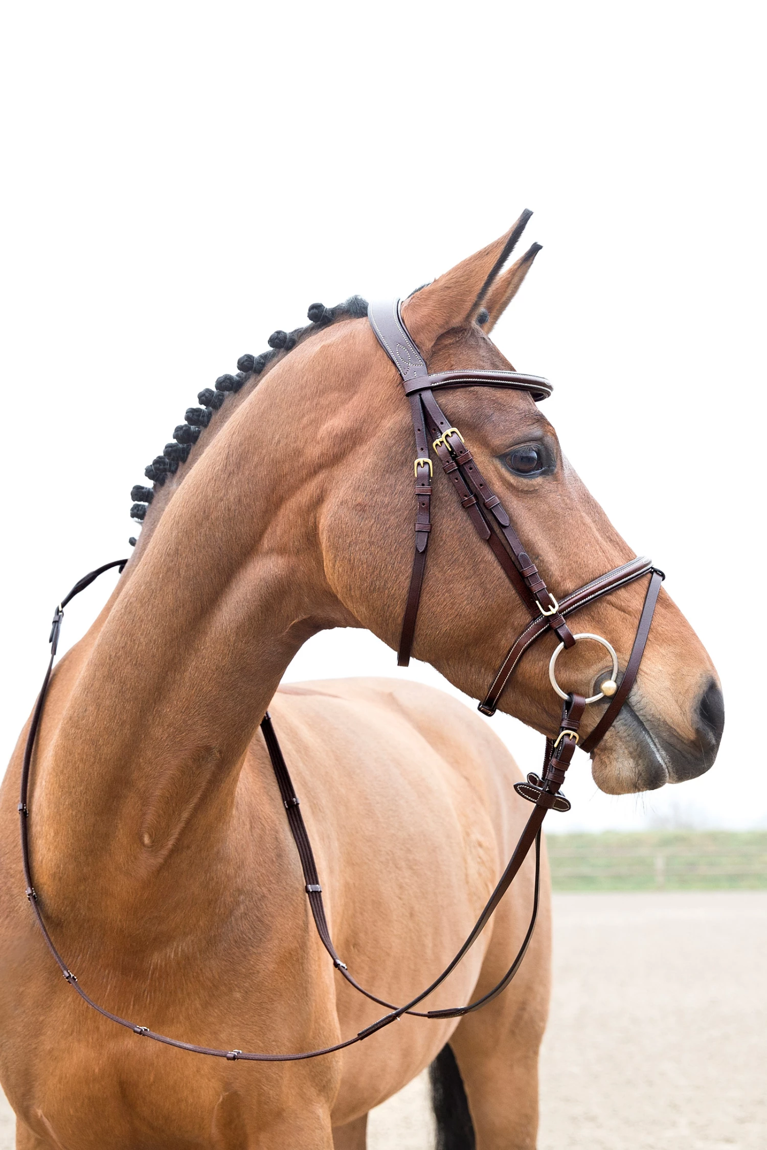 Horze Constance Weich Unterlegte Trense 7 Horze Constance Weich Unterlegte Trense – Bild 5