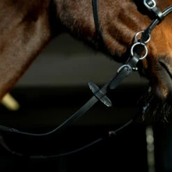 Horze Gebisslose Trense -Weatherbeeta Shop 10081 BL 6