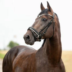 Horze Grayson Anatomische Trense -Weatherbeeta Shop 10084 BL 1