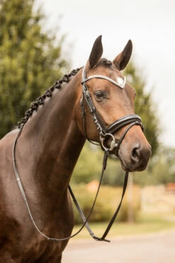 Horze Grayson Anatomische Trense -Weatherbeeta Shop 10084 BL BL 4