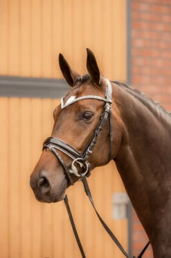 Horze Grayson Anatomische Trense -Weatherbeeta Shop 10084 BL WH 4