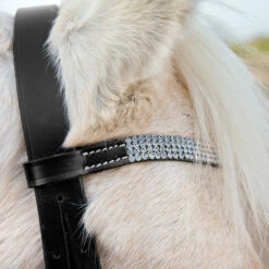 Horze Pony Trense -Weatherbeeta Shop 10104 BL LB 2