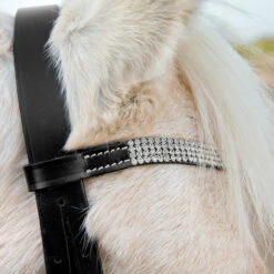 Horze Pony Trense -Weatherbeeta Shop 10104 BL WH 2