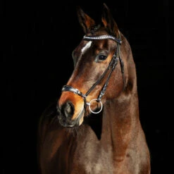 Horze Bergen Remont Trense -Weatherbeeta Shop 10109 BR 1