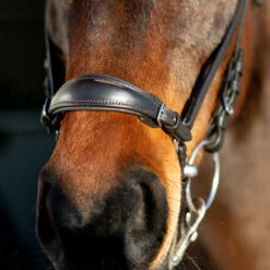 Horze Bergen Remont Trense -Weatherbeeta Shop 10109 BR 3