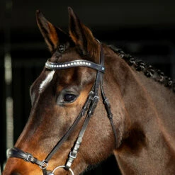 Horze Bergen Remont Trense -Weatherbeeta Shop 10109 BR 4