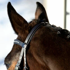 Horze Bergen Remont Trense -Weatherbeeta Shop 10109 BR 5