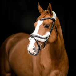 Horze Rome Anatomische Trense -Weatherbeeta Shop 10118 DBR 3