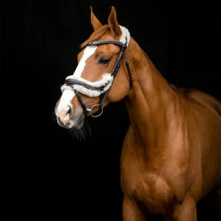 Horze Rome Anatomische Trense -Weatherbeeta Shop 10118 DBR 4