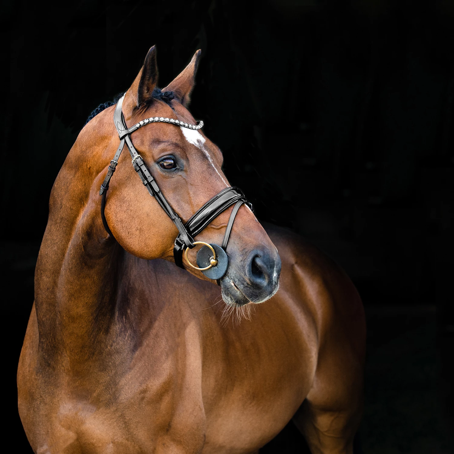 Horze Clermont Anatomische Trense 4 Horze Clermont Anatomische Trense – Bild 2