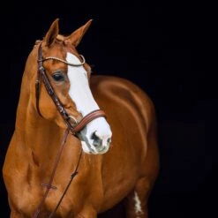 Horze Positano Anatomische Hannoveranische Trense 15 Horze Positano Anatomische Hannoveranische Trense -Weatherbeeta Shop 10126 BR 2