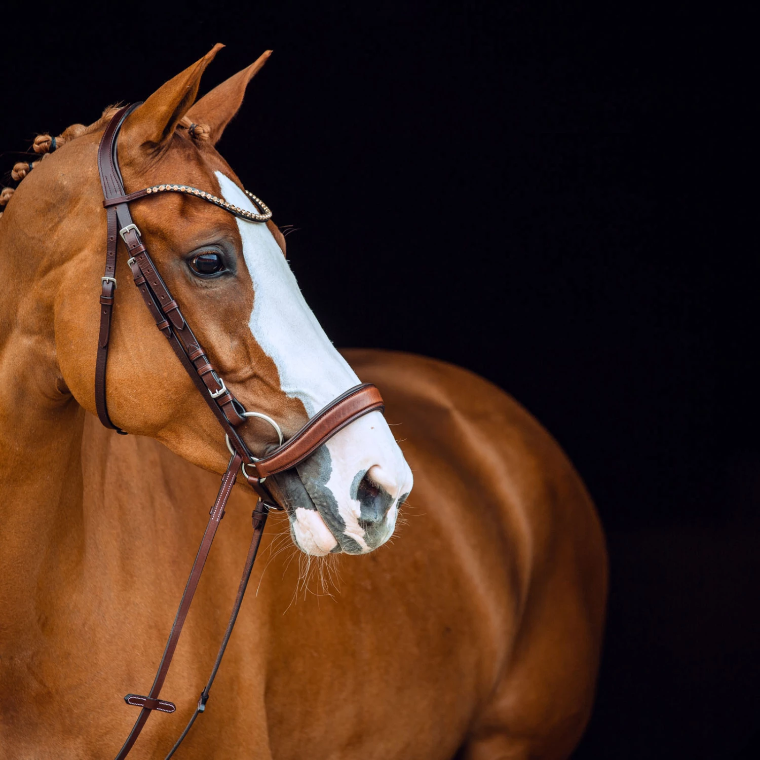 Horze Positano Anatomische Hannoveranische Trense 9 Horze Positano Anatomische Hannoveranische Trense – Bild 7