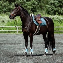 Horze Positano Anatomische Hannoveranische Trense 17 Horze Positano Anatomische Hannoveranische Trense -Weatherbeeta Shop 10126 BR 4