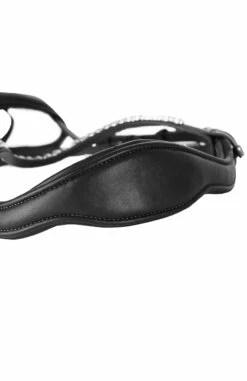 Horze Somerset Anatomische Trense 12 Horze Somerset Anatomische Trense -Weatherbeeta Shop 10156 BL 3