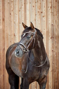 Horze Somerset Anatomische Trense 17 Horze Somerset Anatomische Trense -Weatherbeeta Shop 10156 DBR 4