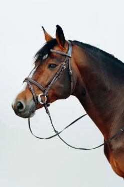 Horze Buxton Anatomische Trense Mit Zügeln 19 Horze Buxton Anatomische Trense Mit Zügeln -Weatherbeeta Shop 10158 BR 3