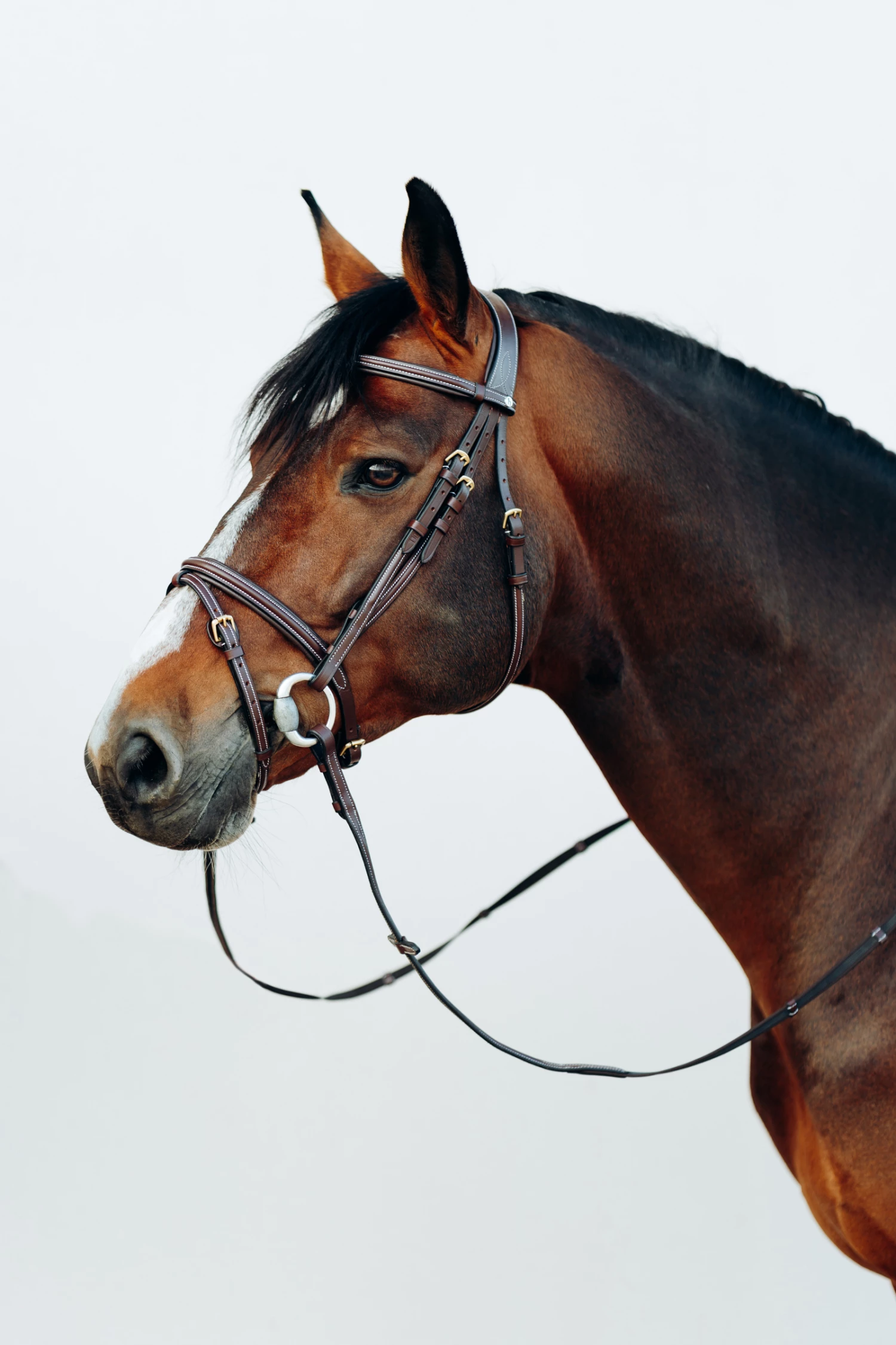 Horze Buxton Anatomische Trense Mit Zügeln 11 Horze Buxton Anatomische Trense Mit Zügeln – Bild 9