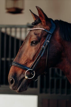 Horze Munich Stirnriemen Mit Strasssteinen 13 Horze Munich Stirnriemen Mit Strasssteinen -Weatherbeeta Shop 10162 rtpi 02