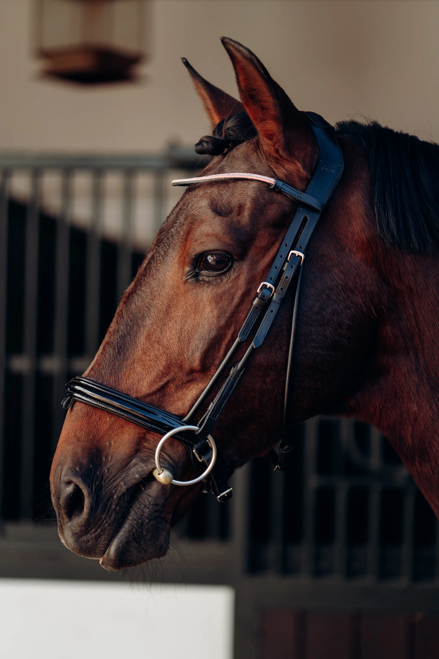 Horze Munich Stirnriemen Mit Strasssteinen 8 Horze Munich Stirnriemen Mit Strasssteinen – Bild 6