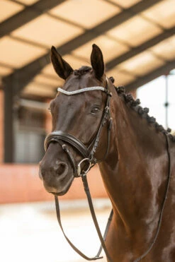 Horze Columbia Stirnriemen Mit Kristallen 17 Horze Columbia Stirnriemen Mit Kristallen -Weatherbeeta Shop 10169 BL DB 4