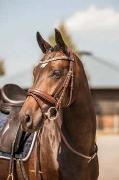 Horze Columbia Stirnriemen Mit Kristallen 21 Horze Columbia Stirnriemen Mit Kristallen -Weatherbeeta Shop 10169 BR GO 4