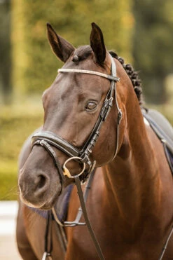 Horze Nancy Stirnriemen Mit Kristallen Und Flechtdetail 16 Horze Nancy Stirnriemen Mit Kristallen Und Flechtdetail -Weatherbeeta Shop 10170 bl rgo 05