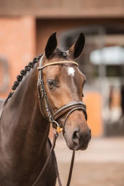 Horze Nancy Stirnriemen Mit Kristallen Und Flechtdetail 23 Horze Nancy Stirnriemen Mit Kristallen Und Flechtdetail -Weatherbeeta Shop 10170 br rgo 04