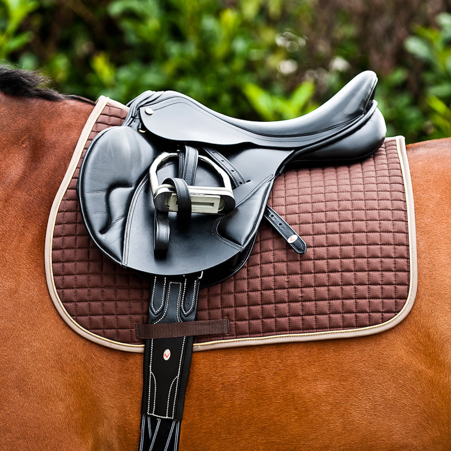 Horze River Vielseitigkeitsschabracke 15 Horze River Vielseitigkeitsschabracke – Bild 13