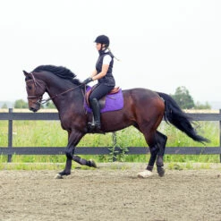 Horze River Vielseitigkeitsschabracke 27 Horze River Vielseitigkeitsschabracke -Weatherbeeta Shop 17014 PU PU 2