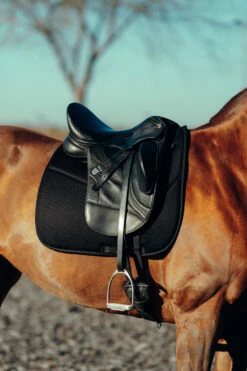 Horze Phoenix Dressurschabracke 29 Horze Phoenix Dressurschabracke -Weatherbeeta Shop 17295 BL 4