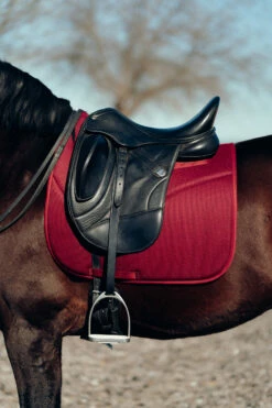 Horze Phoenix Dressurschabracke 24 Horze Phoenix Dressurschabracke -Weatherbeeta Shop 17295 adpi 04