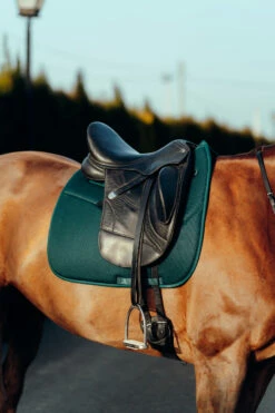 Horze Phoenix Dressurschabracke 34 Horze Phoenix Dressurschabracke -Weatherbeeta Shop 17295 stgr 04