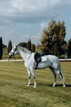 Horze Kühlende Vielseitigkeitsschabracke 30 Horze Kühlende Vielseitigkeitsschabracke -Weatherbeeta Shop 17307 PBG 3