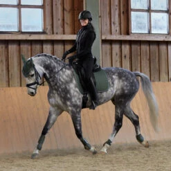 Horze Adepto Vielseitigkeitsschabracke 40 Horze Adepto Vielseitigkeitsschabracke -Weatherbeeta Shop 17343 BKGR 7