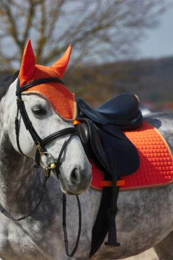 Horze Adepto Vielseitigkeitsschabracke 25 Horze Adepto Vielseitigkeitsschabracke -Weatherbeeta Shop 17343 cgo 04