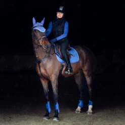 Horze Glarus Vielseitigkeitsschabracke Mit Metallischem Flechtdetail -Weatherbeeta Shop 17347 MLNB 2