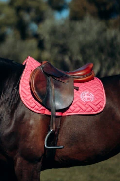 Horze Oslo Vielseitigkeitsschabracke 16 Horze Oslo Vielseitigkeitsschabracke -Weatherbeeta Shop 17405 rgre 03