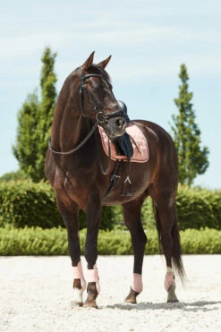 Horze Coventry Dressurschabracke -Weatherbeeta Shop 17417 CPI 3