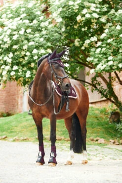 Horze Monster Pony Schabracke Mit Bestickung 16 Horze Monster Pony Schabracke Mit Bestickung -Weatherbeeta Shop 17422 FPU 5