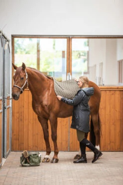 Horze Sandnes Vielseitigkeitsschabracke 26 Horze Sandnes Vielseitigkeitsschabracke -Weatherbeeta Shop 17425 dogr 03