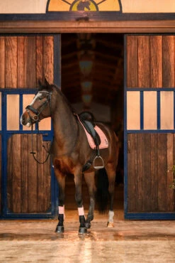 Horze Trixi Pony Vielseitigkeitsschabracke 17 Horze Trixi Pony Vielseitigkeitsschabracke -Weatherbeeta Shop 17441 333 05