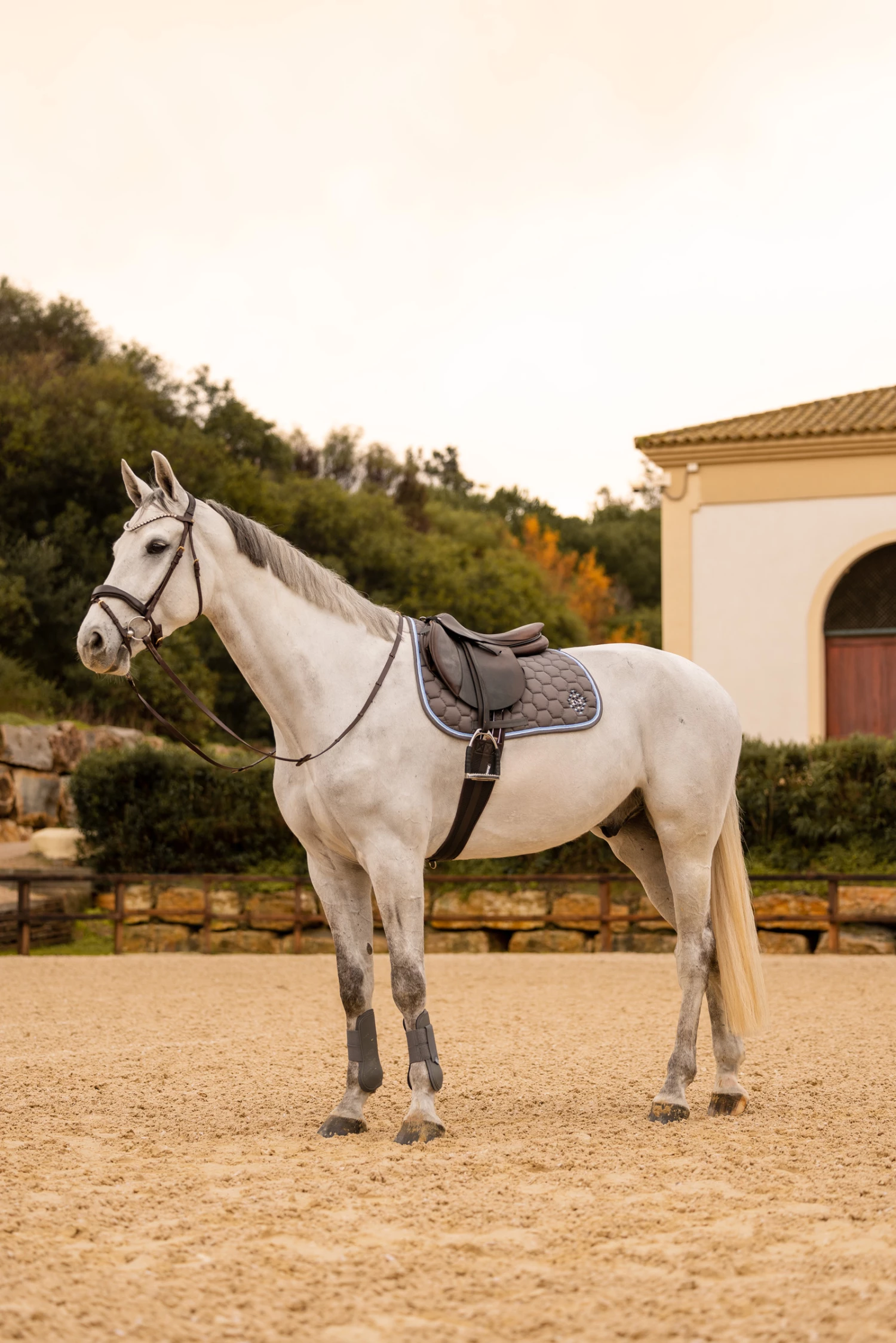 Horze Navajo Vielseitigkeitsschabracke 14 Horze Navajo Vielseitigkeitsschabracke – Bild 12