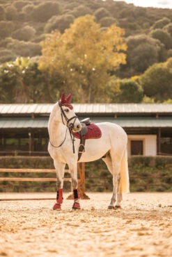 Horze Kenya Vielseitigkeitsschabracke 21 Horze Kenya Vielseitigkeitsschabracke -Weatherbeeta Shop 17444 251 06