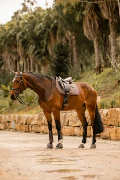 Horze Kenya Vielseitigkeitsschabracke 29 Horze Kenya Vielseitigkeitsschabracke -Weatherbeeta Shop 17444 753 07